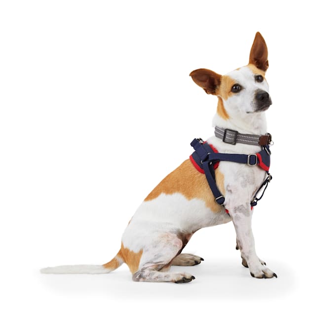 Step in deals dog harness
