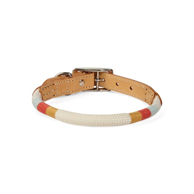 YOULY The Wanderer Cream Rope & Leather Dog Collar, Medium
