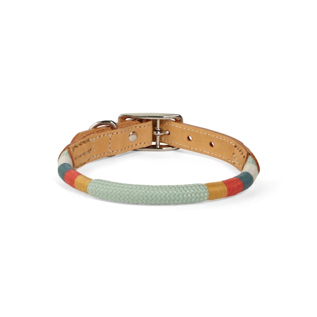 Leather rope collar clearance