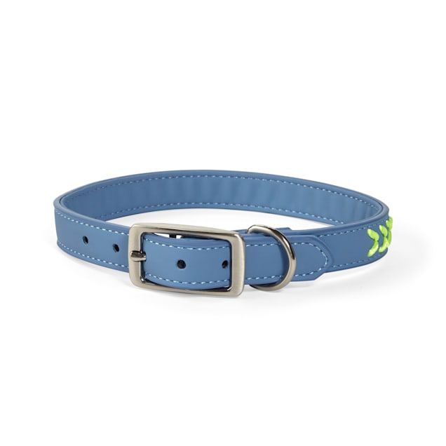 Lilyvera dog collar cheap