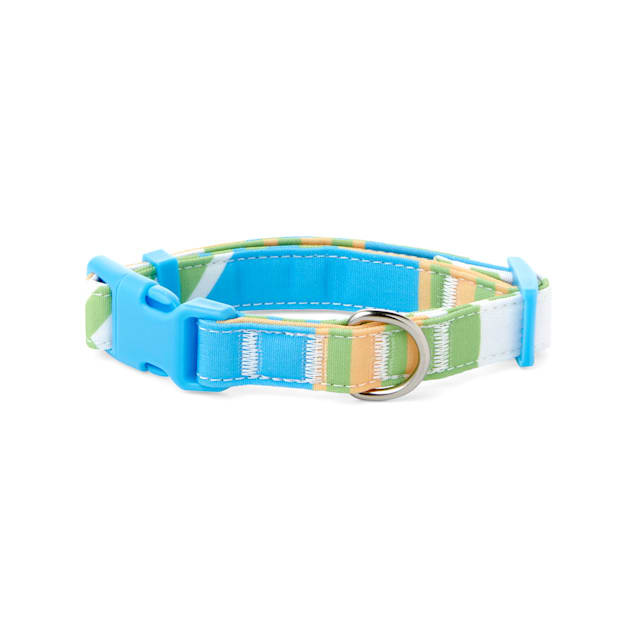 Champion dog collar clearance