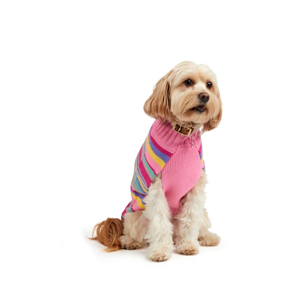 Petco sweaters clearance