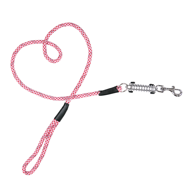 Petique Kandy Kane Small Dog Leash 48" Reflective & Durable
