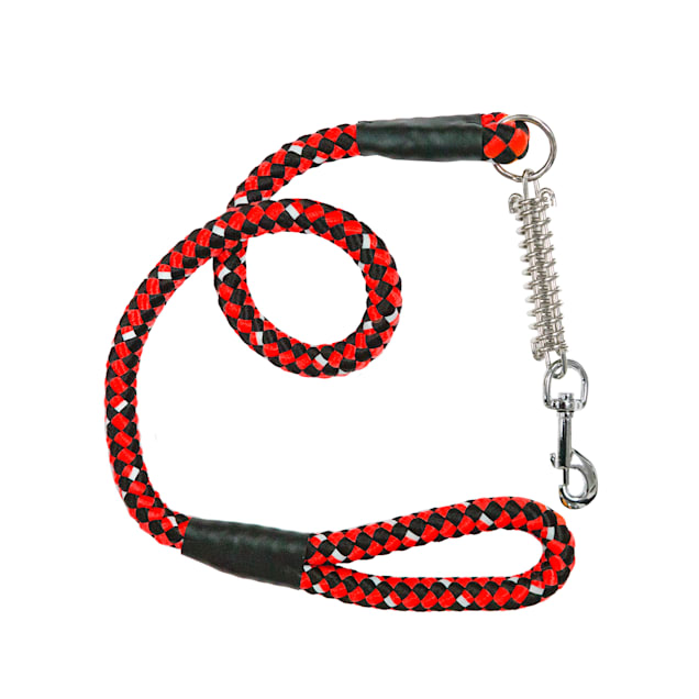 Petique Ladybug Dog Leash, Large, 48" L - Carousel image #1