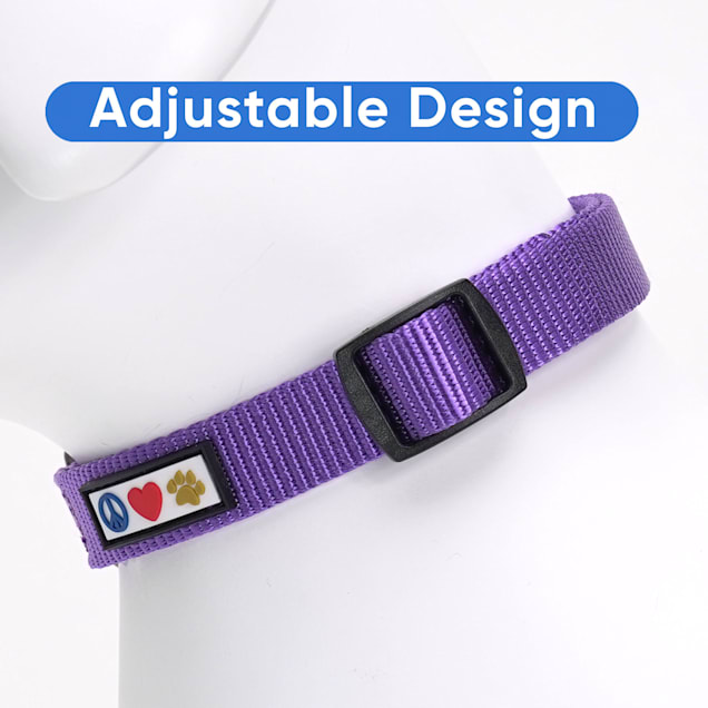Small purple dog collar top