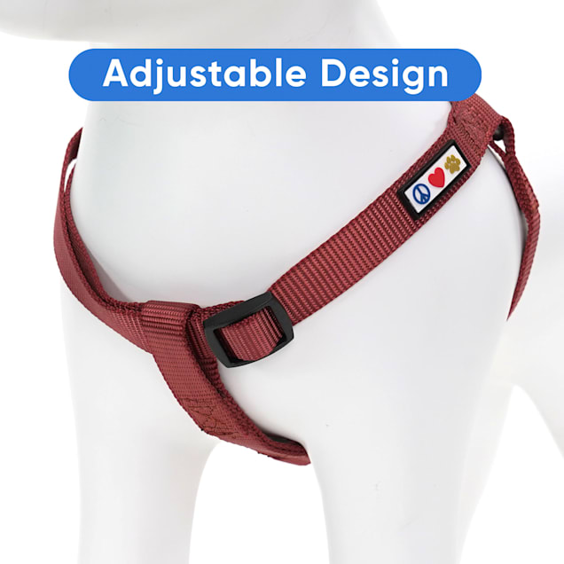 Petco kong harness on sale