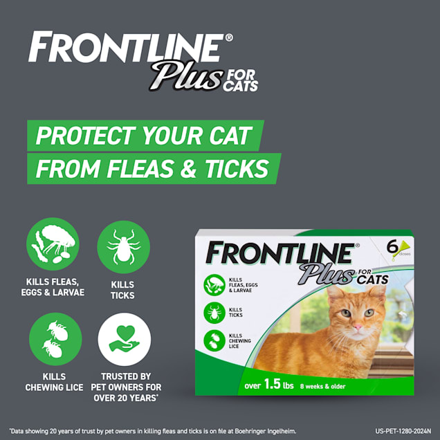 frontline treatment for cats