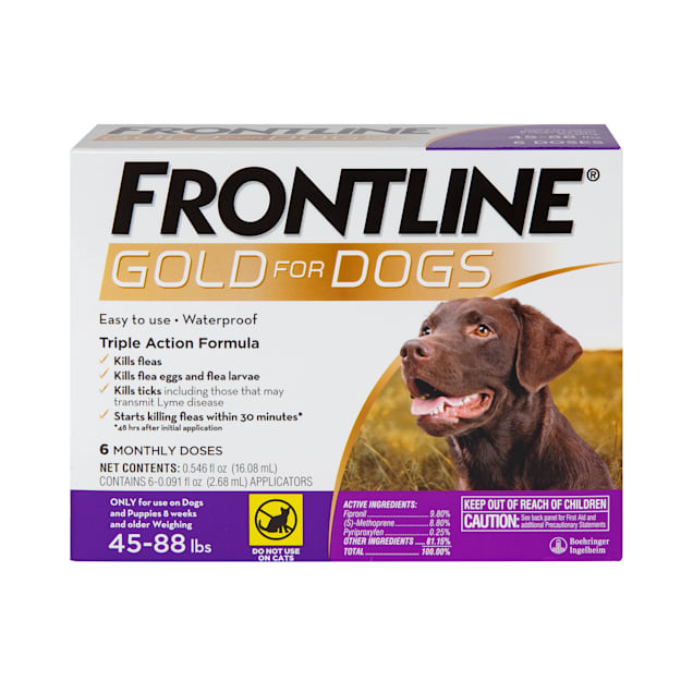FRONTLINE Gold Flea & Tick Treatment for Large Dogs Up to 45 to 88 lbs., Pack of 6 - Carousel image #1