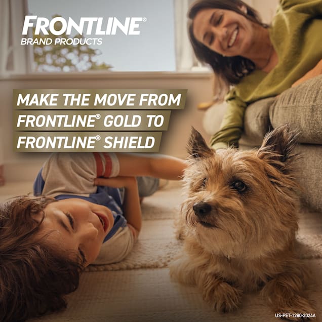 Is frontline the discount best flea treatment