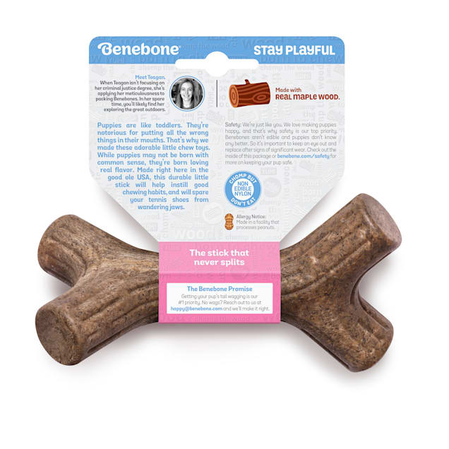 Petco puppy chew toys top