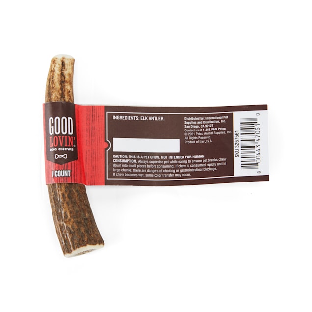 Good lovin 2024 elk antler