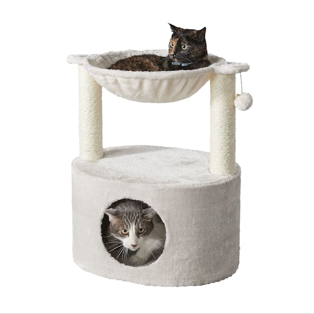 Cat towers with hammocks outlet