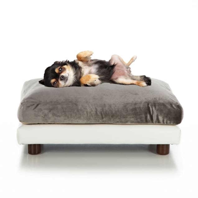 Club Nine Pets Pewter Milo Orthopedic Dog Bed, 24" L X 34" W - Carousel image #1
