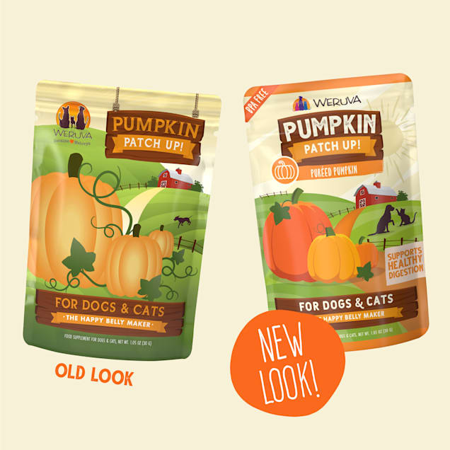 Pumpkin Patch Up Pureed Pumpkin What s Your Function Variety