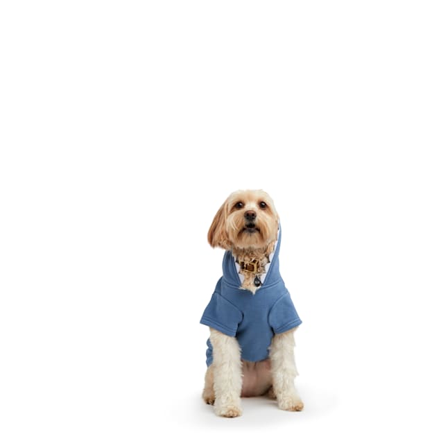 dog shark hoodie
