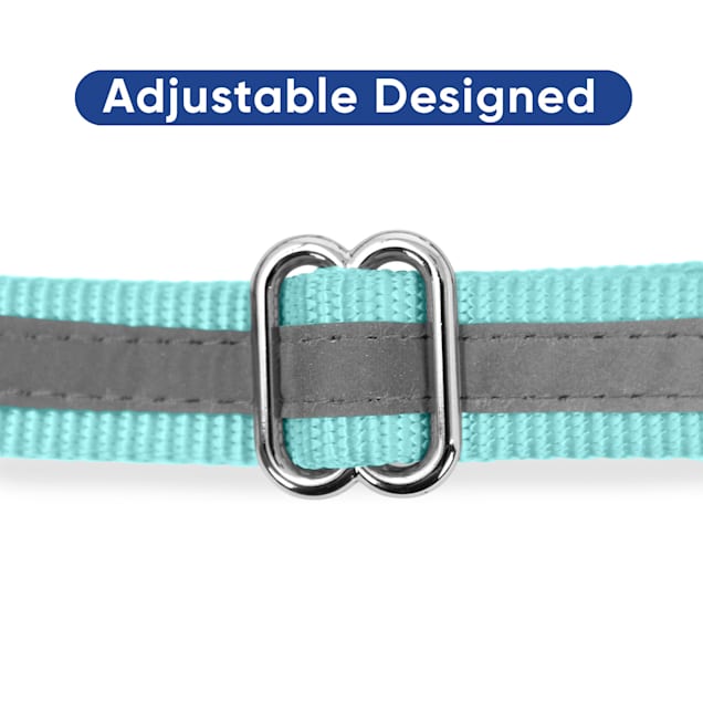 Martingale dog collar petco clearance