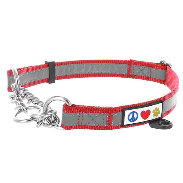 Martingale Chain Dog Collar