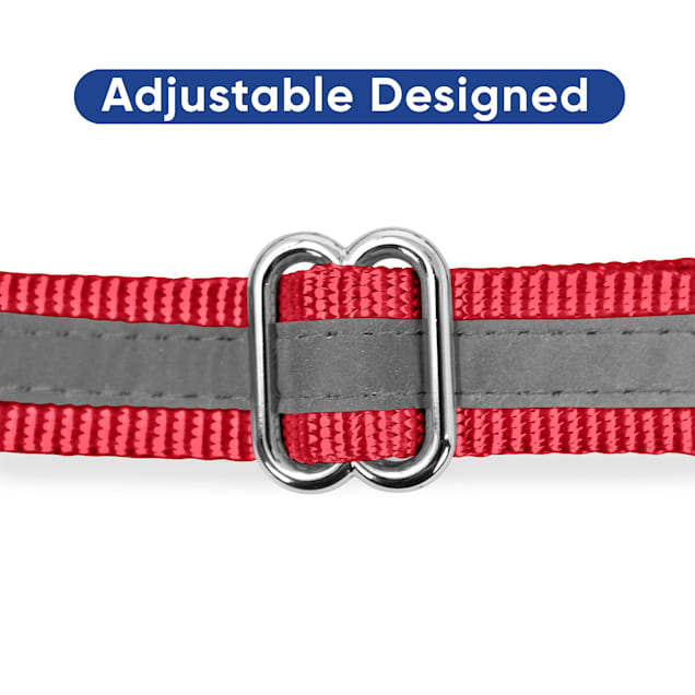 Martingale dog collar petco clearance