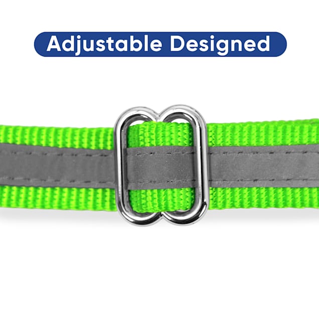 Pawtitas Green Chain Martingale Dog Collar Medium