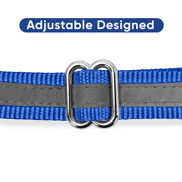Petco chain collar on sale