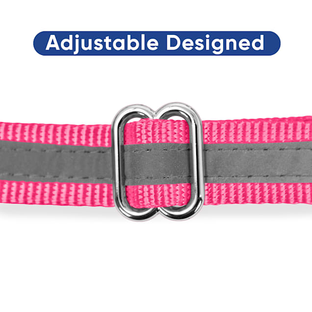 Pink dog chain deals