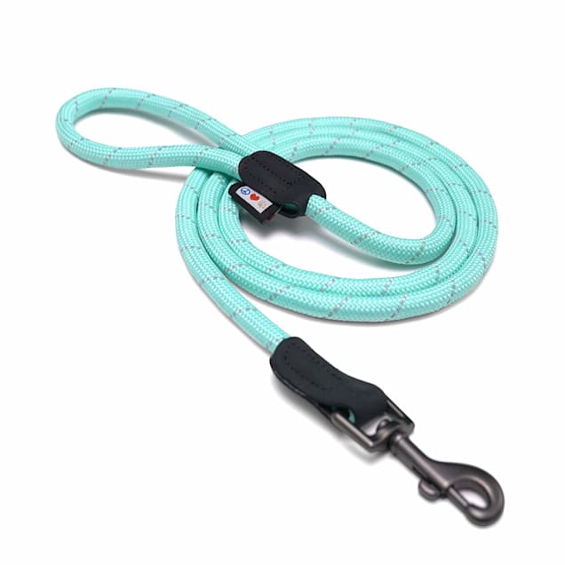 Pawtitas Teal Rope Dog Leash, X-Small/Small, 6 ft. - Carousel image #1