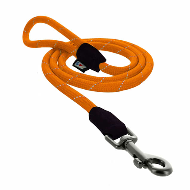 Pawtitas Reflective Rope Dog Leash, 6-ft, Orange, Small