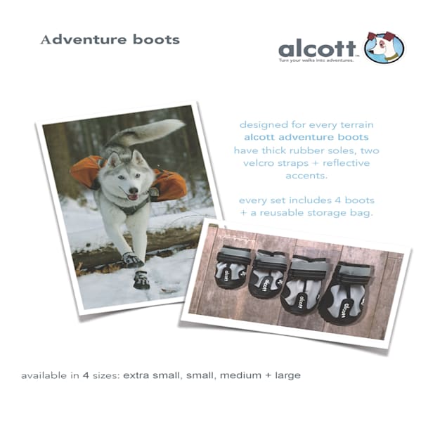 Alcott dog boots 2025