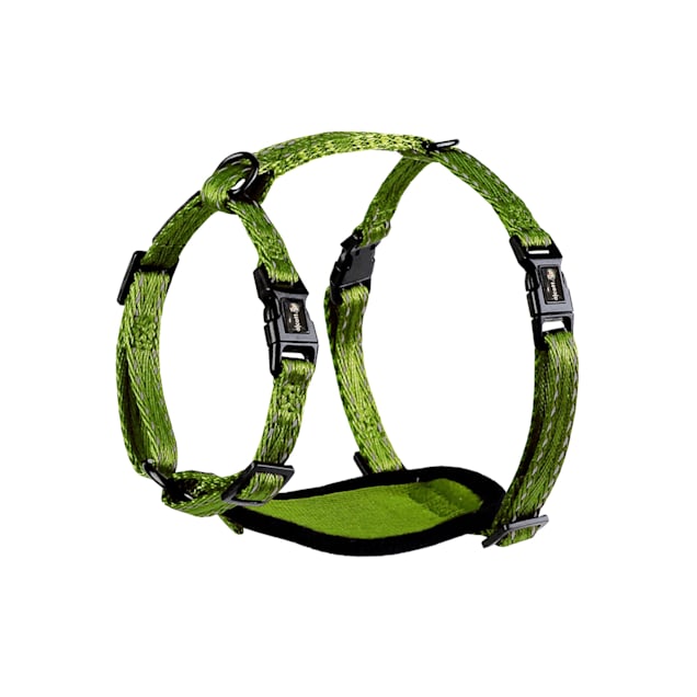 alcott Green Adventure Dog Harness X Small