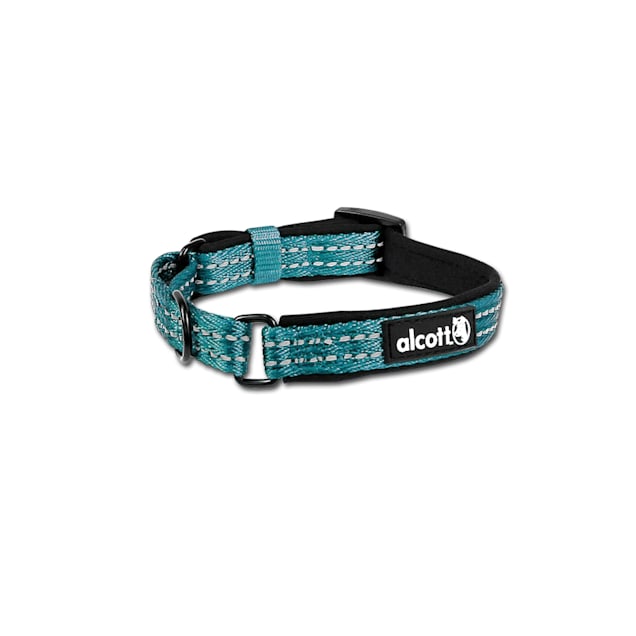 alcott Blue Martingale Dog Collar Small