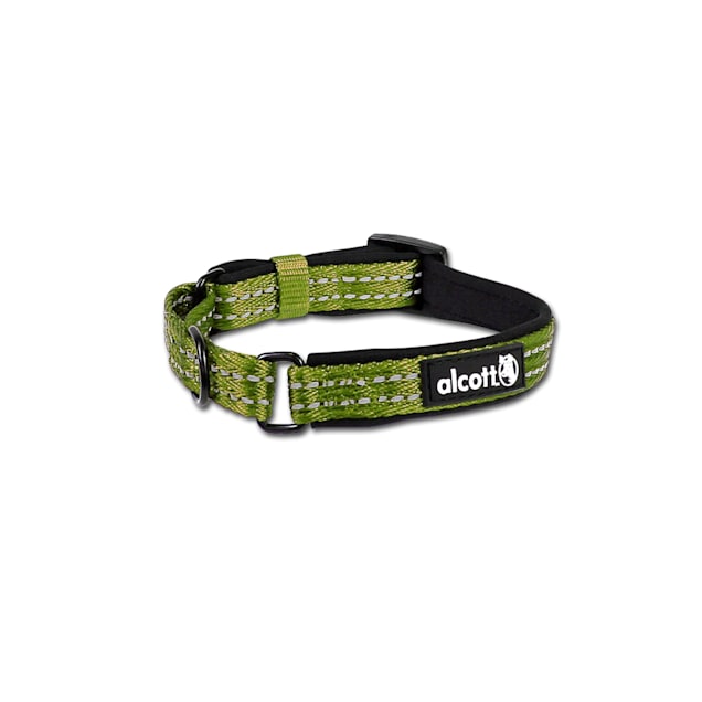 Petco small dog collars store