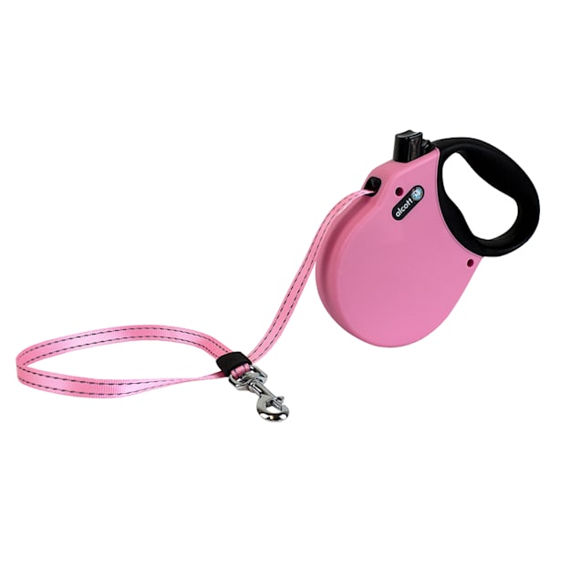 Extra small retractable dog clearance leash