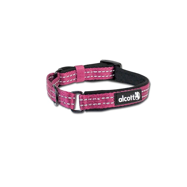 Pink martingale shop collar