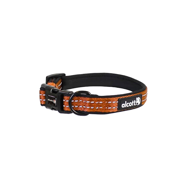 alcott Neon Orange Visibility Dog Collar, Small - Carousel image #1