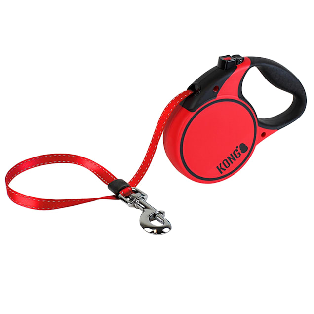 Terrain 2025 dog leash
