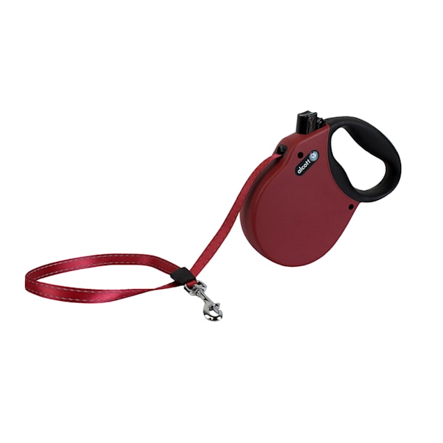 Red retractable dog lead 2025