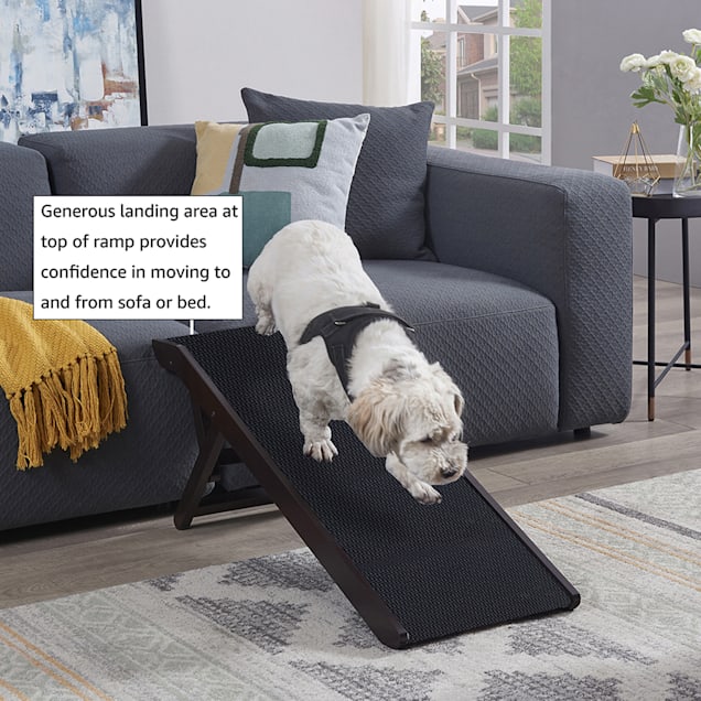 Petco ramps outlet