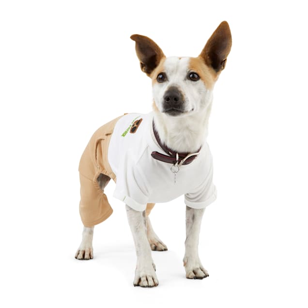 Dog onesies petco clearance