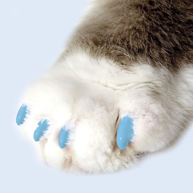 Soft Claws Blue Pastel Cat Nail Caps, Medium