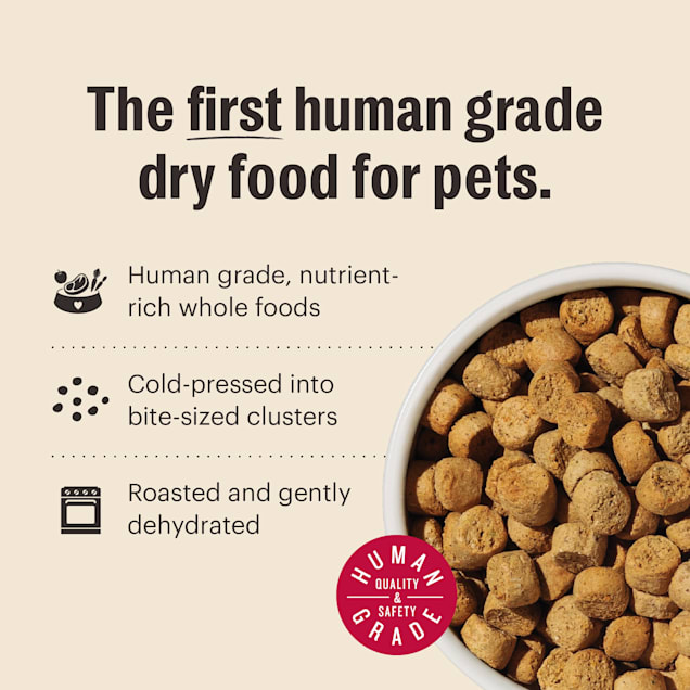 honest kitchen whole grain