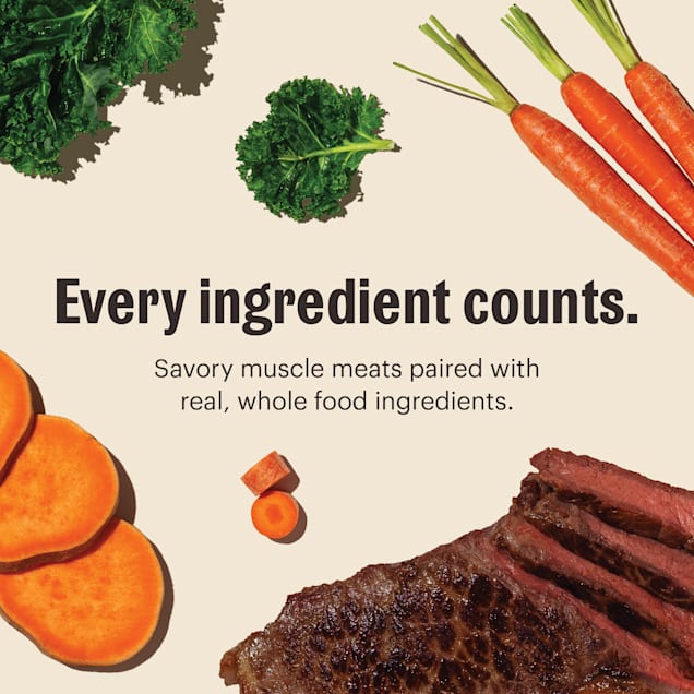 The Honest Kitchen One Pot Stews: Roasted Beef Stew with Kale, Sweet  Potatoes & Carrots Wet Dog Food, 10.5 oz., Case of 6