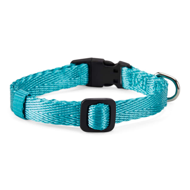 YOULY The Classic Blue Webbed Nylon Dog Collar, Small