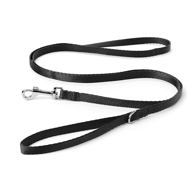 YOULY The Classic Black Webbed 6 Foot Nylon Dog Leash, Medium - Carousel image #1