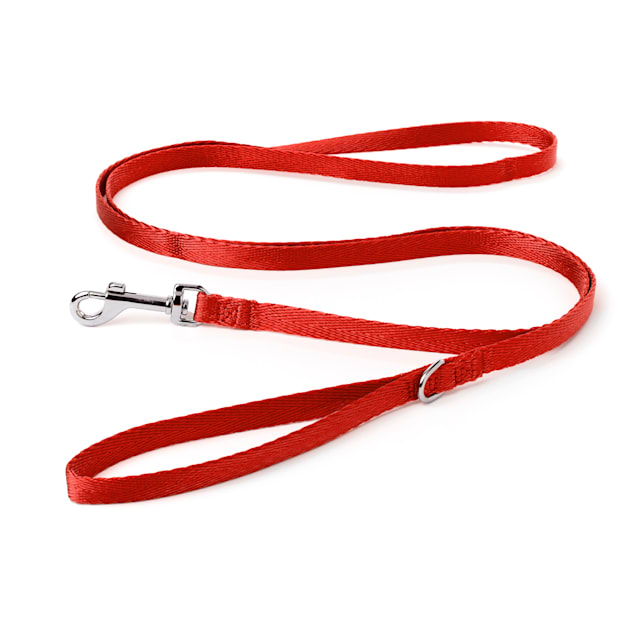 YOULY The Classic Red Webbed 6 Foot Nylon Dog Leash, Medium - Carousel image #1