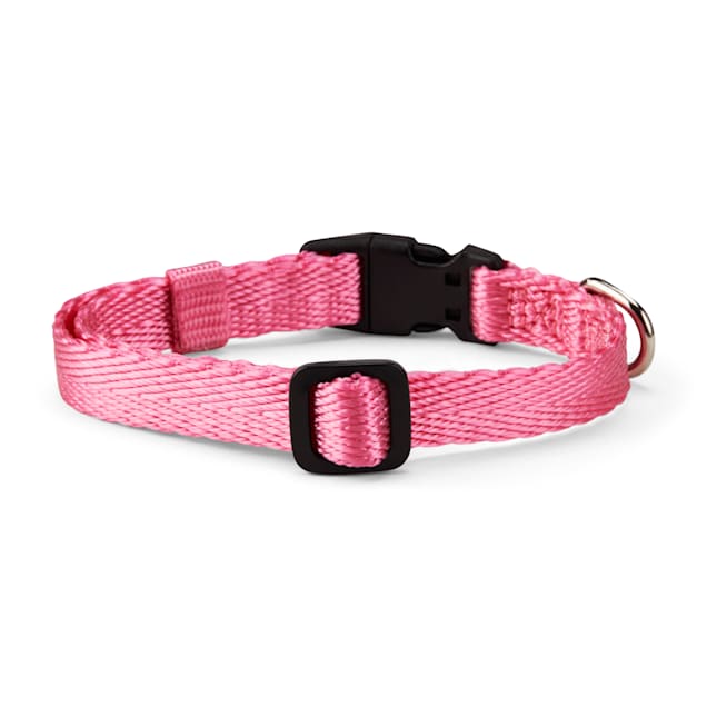 YOULY The Extrovert Water-Resistant Pink & Blue Colorblocked Dog Collar,  Small