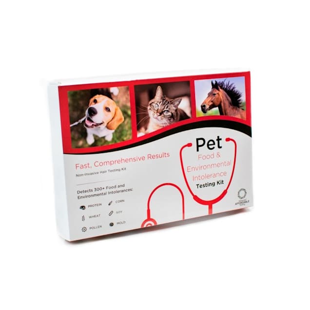 5Strands Pet Food & Environmental Intolerance Testing Kit - Carousel image #1