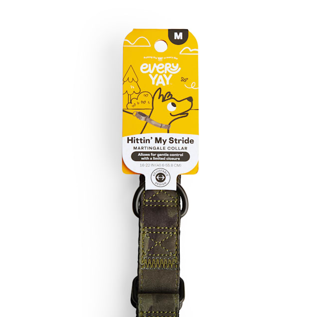 Petco martingale collar sale