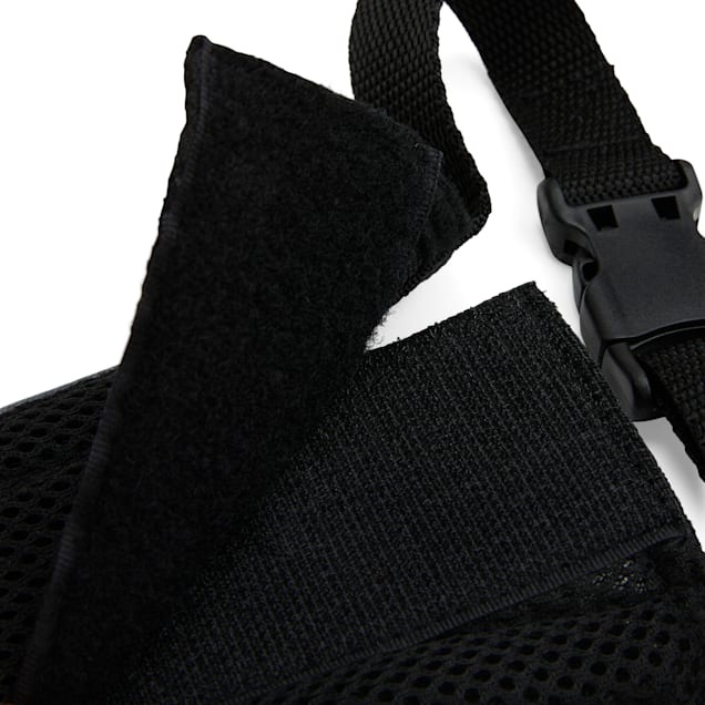 Small dog top muzzle petco