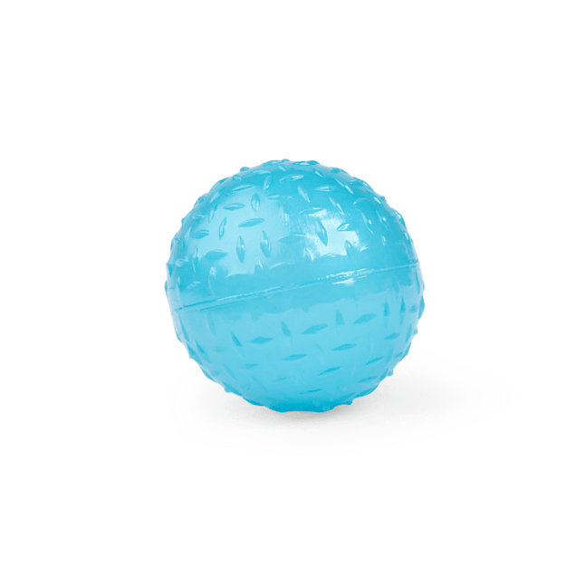 Leaps & Bounds Romp & Run GlowInTheDark Bouncy Ball Dog Toy in