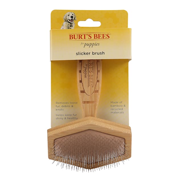Dog comb petco online